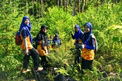 60-sukarelawan-UMP-Kilau-tanam-150-pokok-di-Tasik-Chini-02