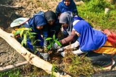 60-sukarelawan-UMP-Kilau-tanam-150-pokok-di-Tasik-Chini-501