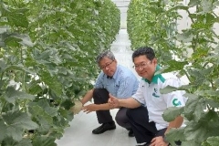 28-Oct-2022-SIRIM-visit-to-Green-house-GTP-e1741093220681